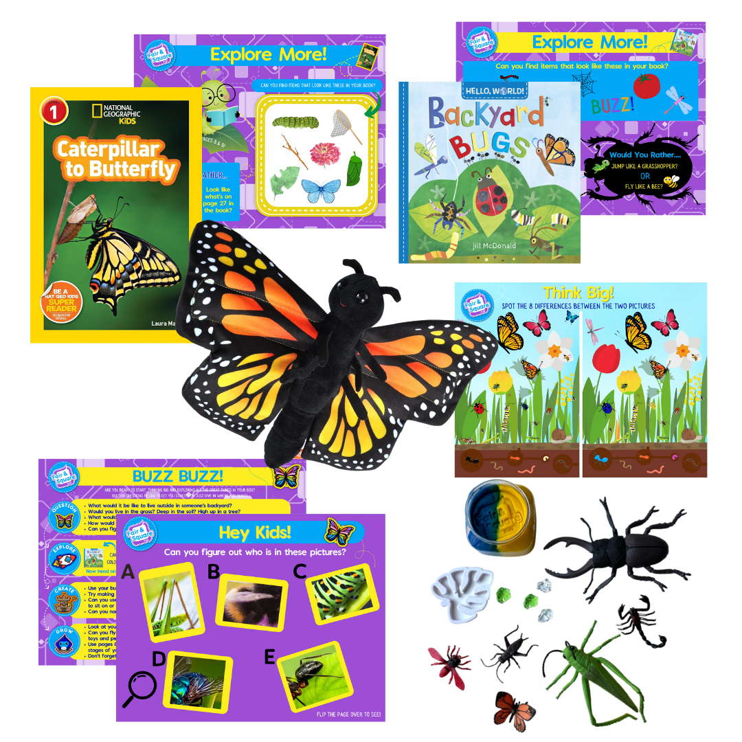 Bug Little Big Thinker Box