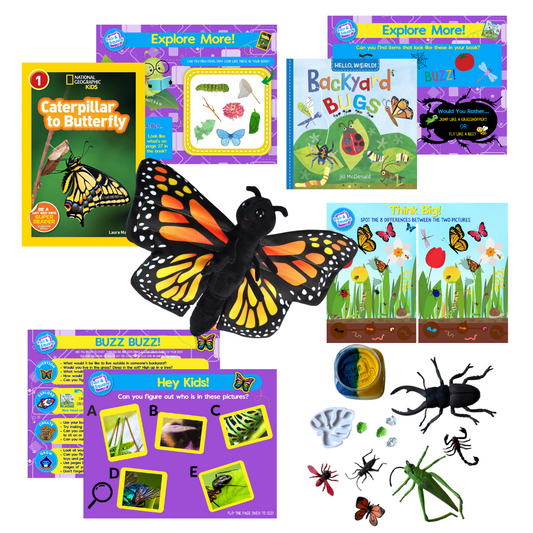 Bug Little Big Thinker Box