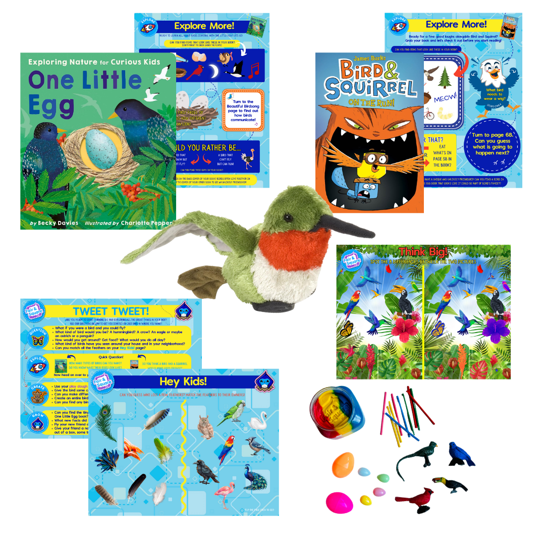 Bird Big Thinker Box