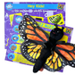 Bug Little Big Thinker Box