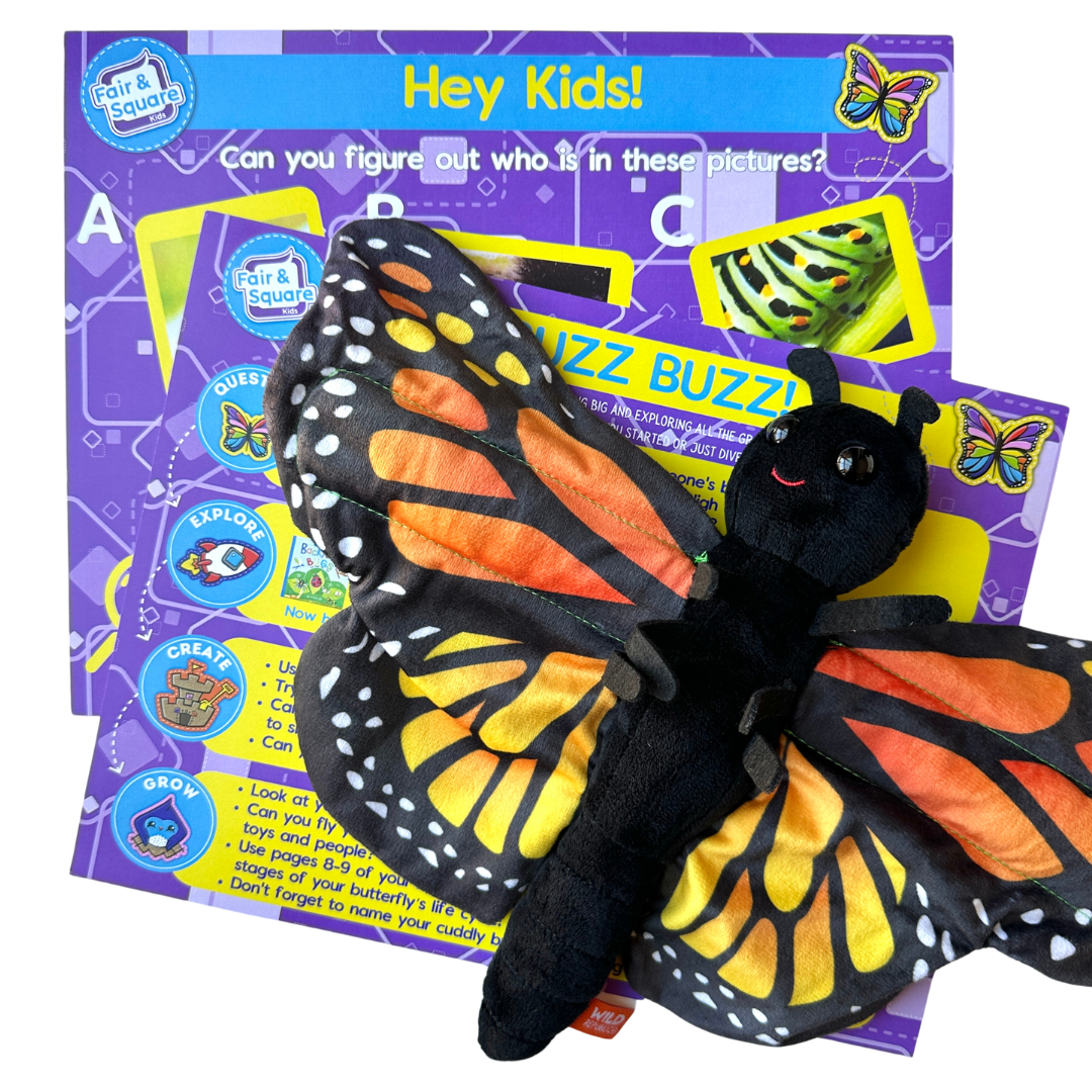 Bug Little Big Thinker Box