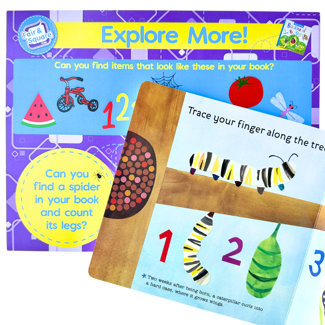 Bug Little Big Thinker Box
