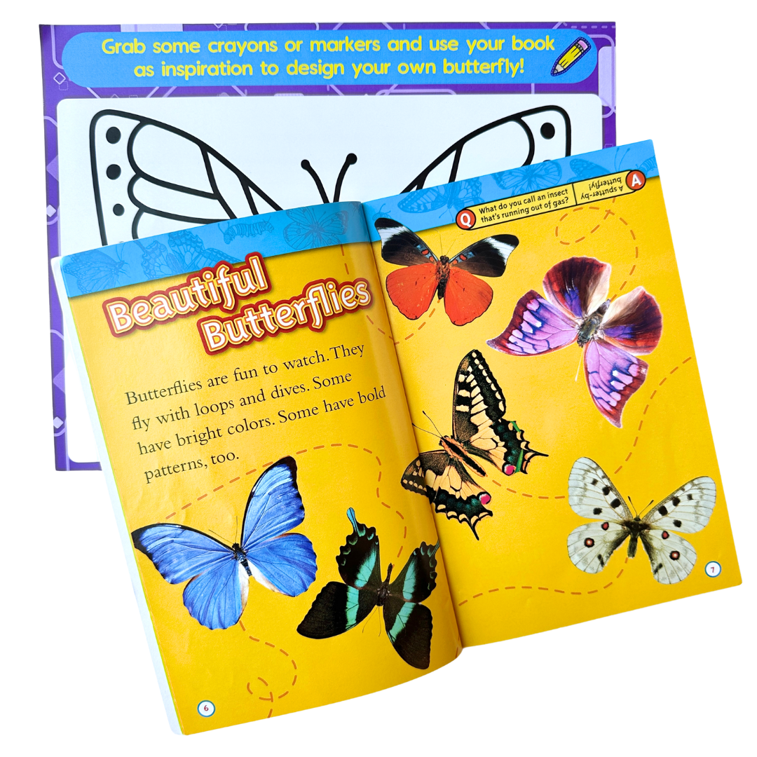 Bug Little Big Thinker Box
