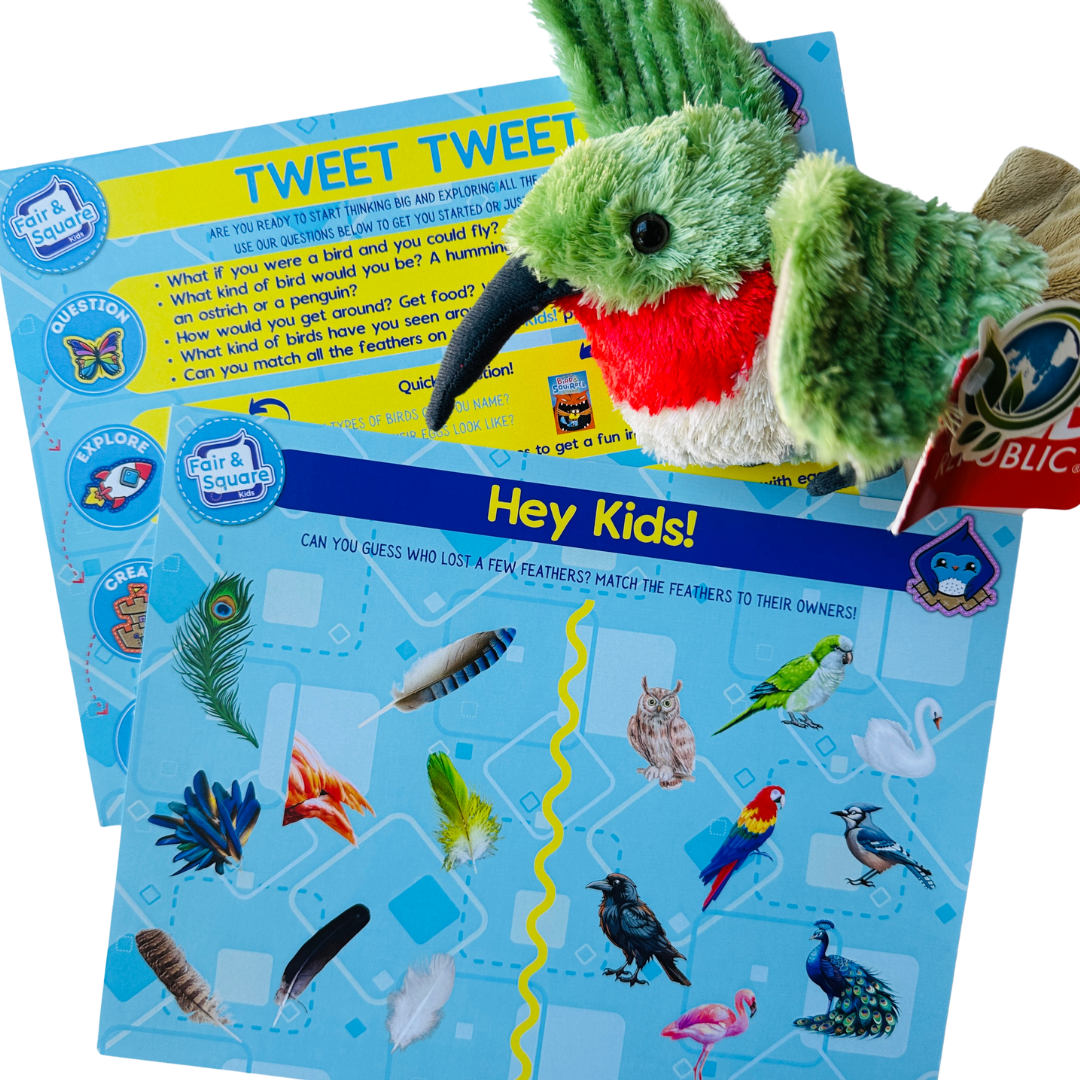 Bird Big Thinker Box