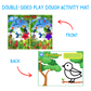 Bird Big Thinker Box