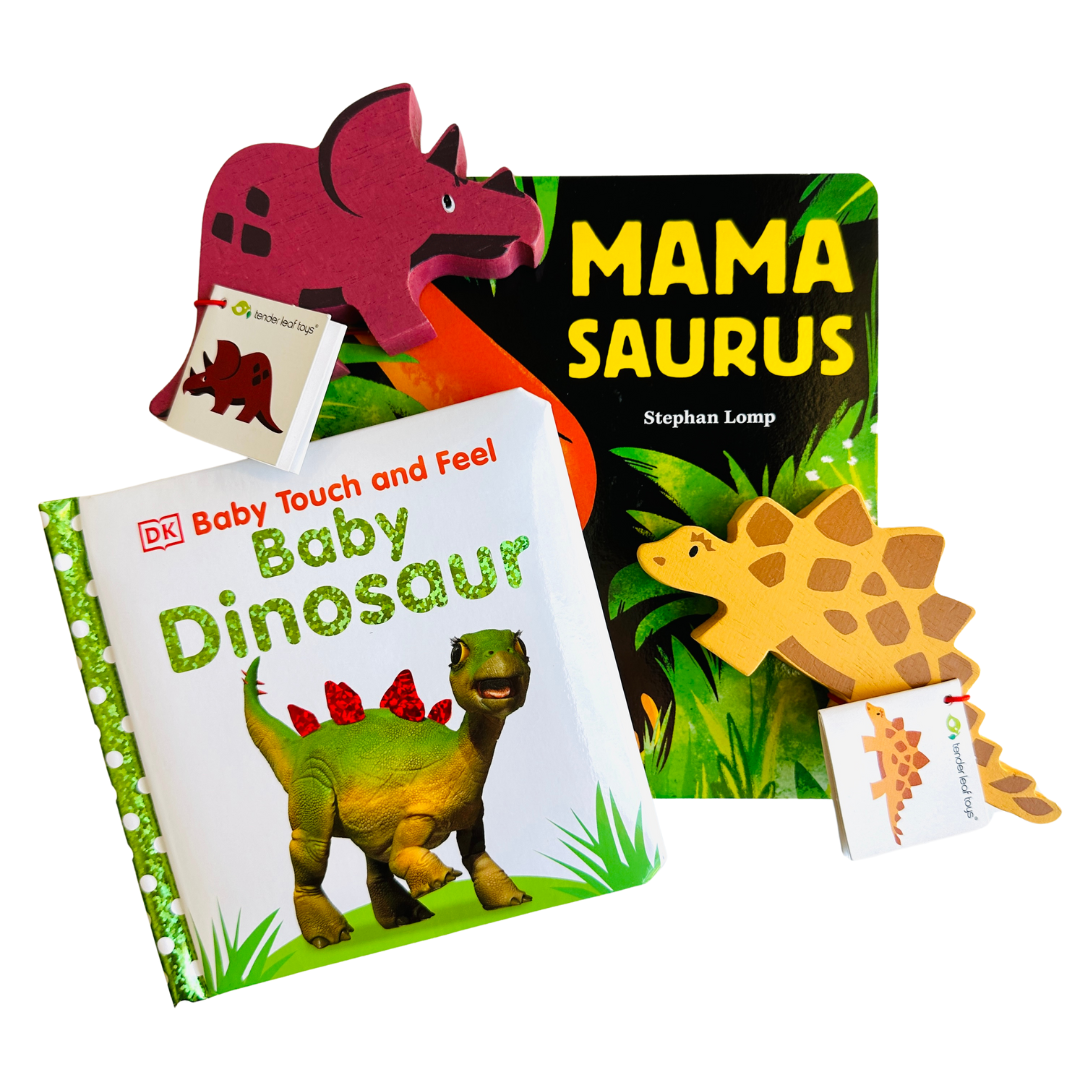 Dinosaur Beginner Big Thinker Box