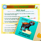 Dinosaur Beginner Big Thinker Box
