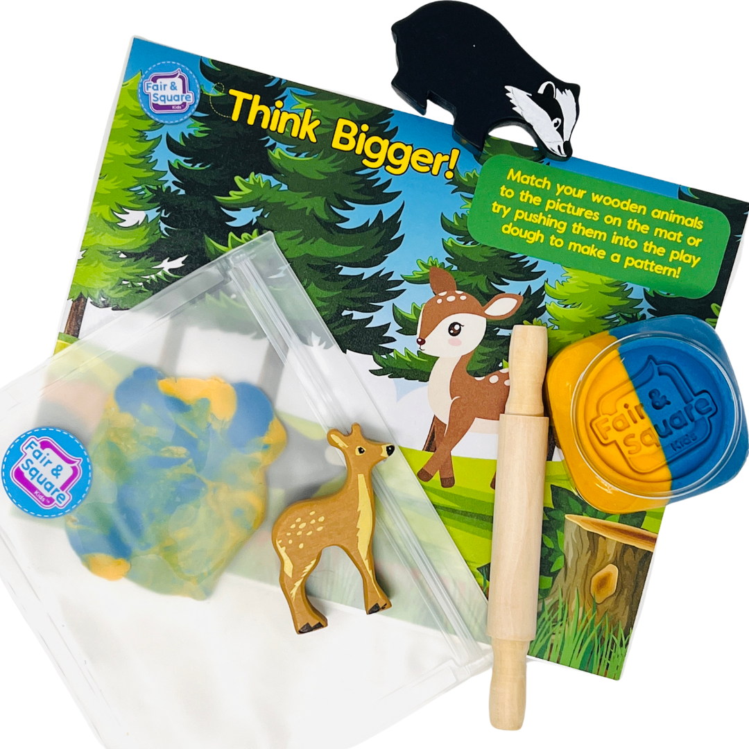 Forest Beginner Big Thinker Box