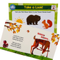 Forest Beginner Big Thinker Box