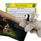 Forest Beginner Big Thinker Box
