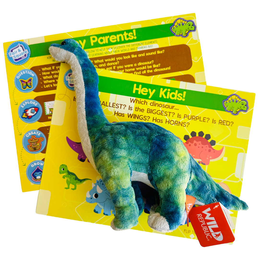 Dinosaur Beginner Big Thinker Box