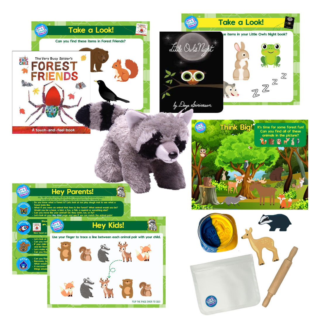 Forest Beginner Big Thinker Box
