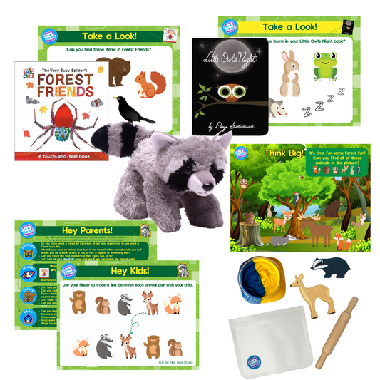 Forest Beginner Big Thinker Box