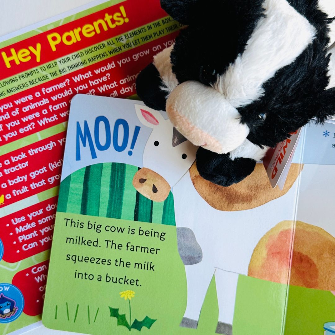 Farm Little Big Thinker Box