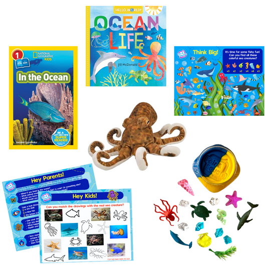 Ocean Little Big Thinker Box