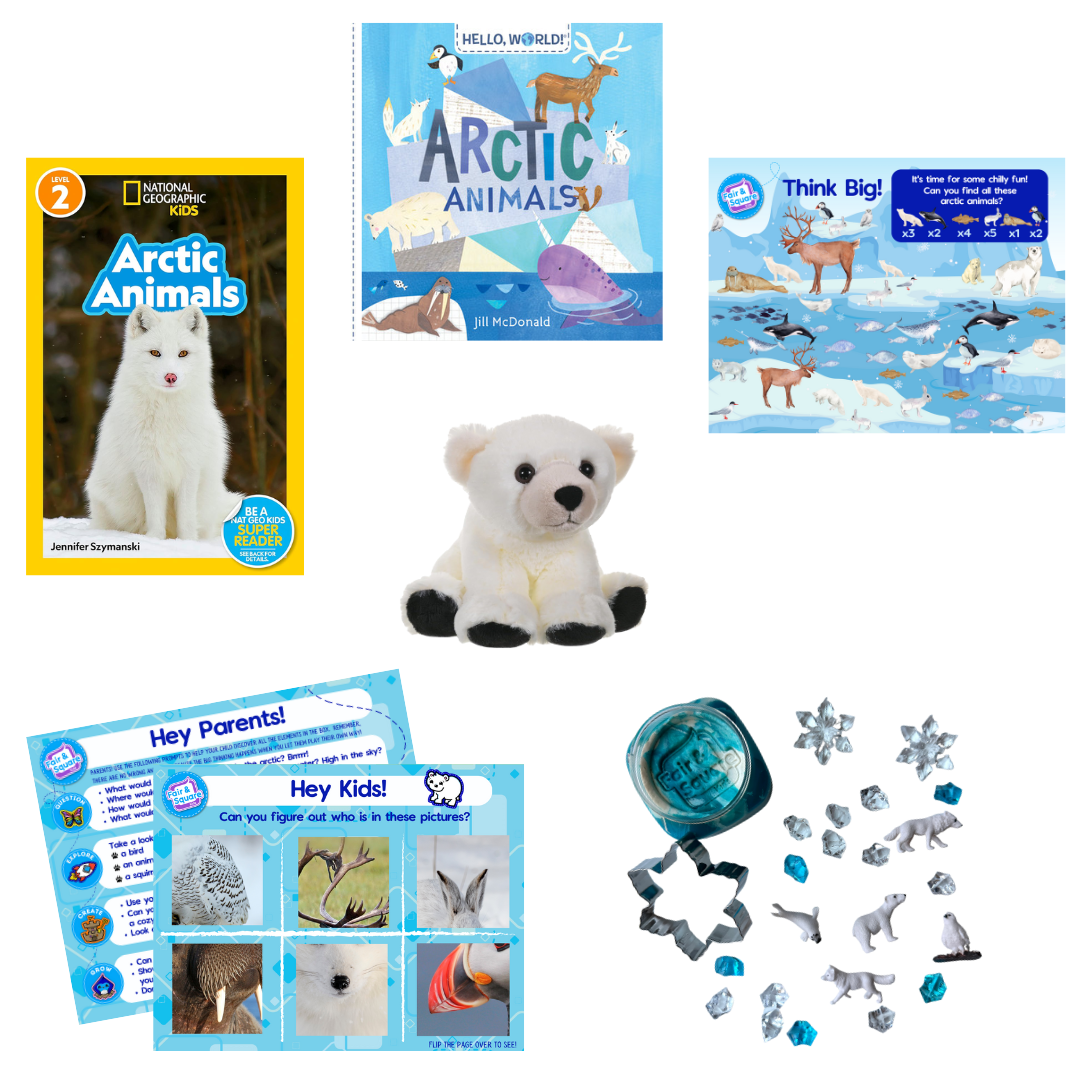 Arctic Animals Little Big Thinker Box