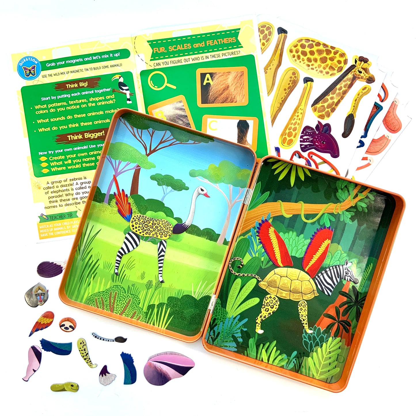 African Animals Big Thinker Box