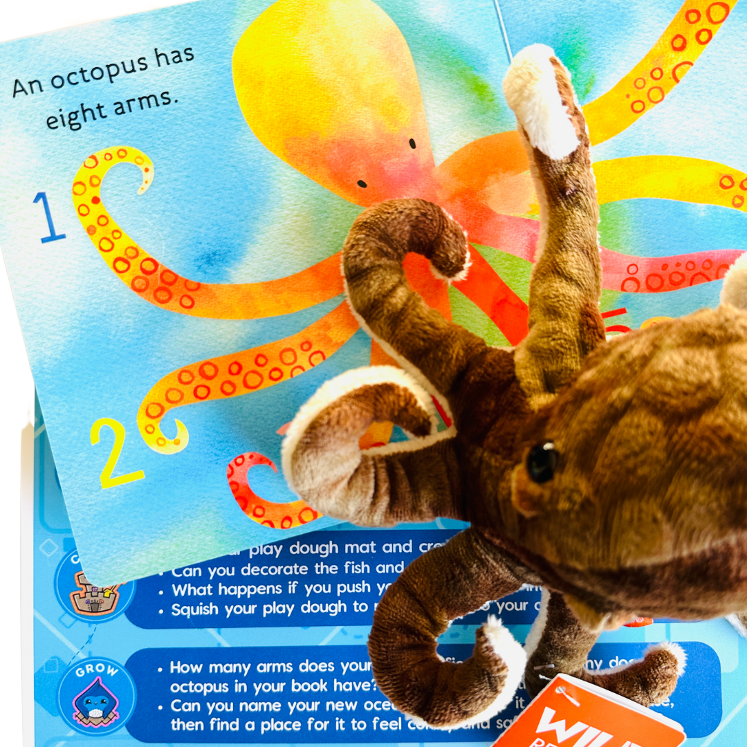 Ocean Little Big Thinker Box